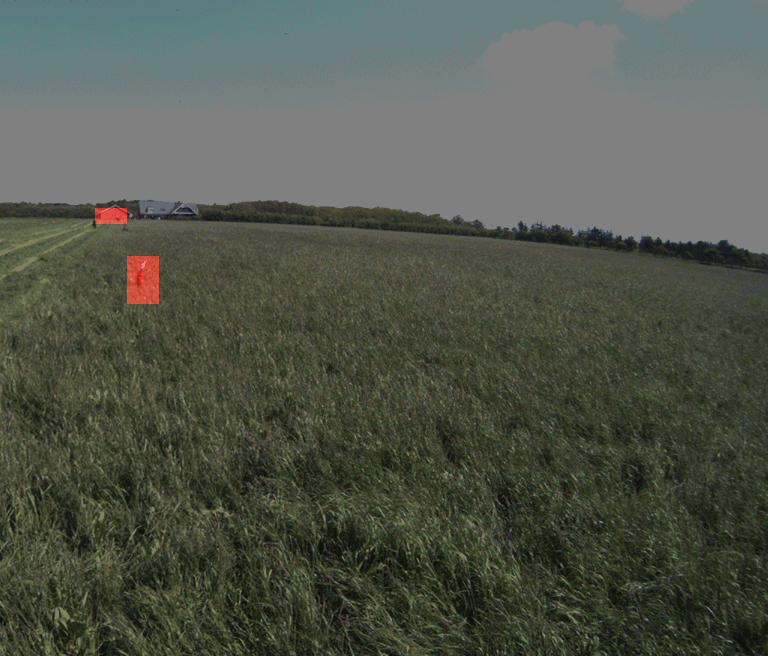 Anomaly detection in a colour image sequence