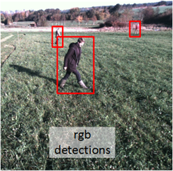 Object detection in a colour image from the SAFE perception platform