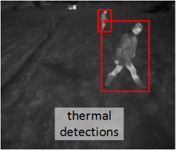 Object detection in a thermal image