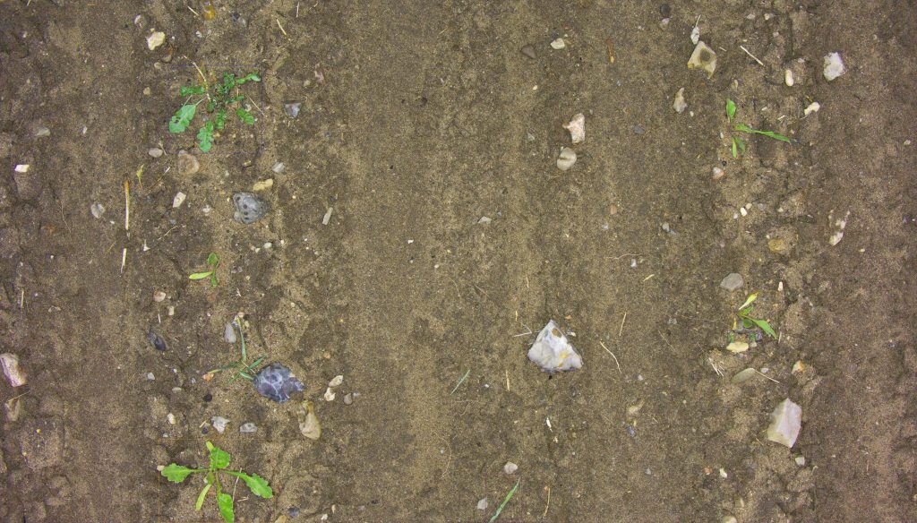 Field image captured by the module