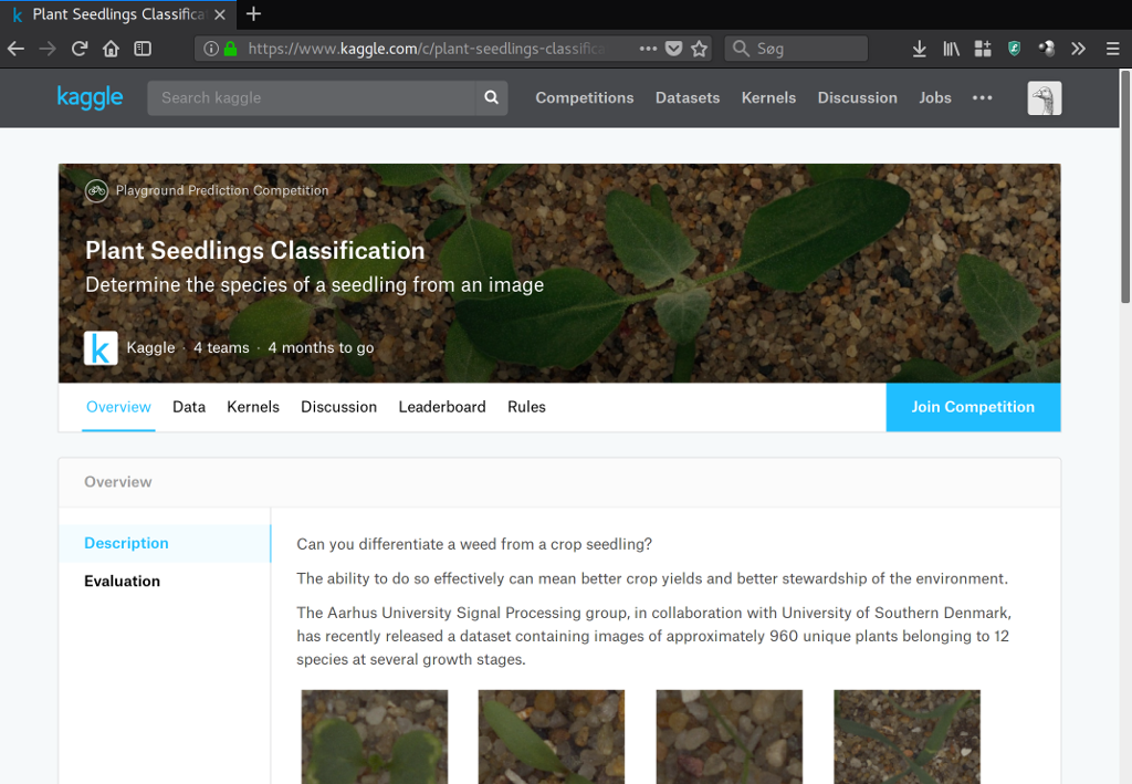 Chickweed sample from the database