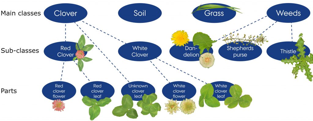 Overview of the synthetic label classes and their hierarchy